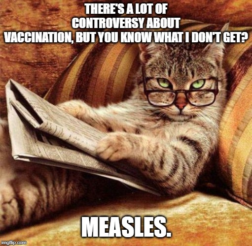 measles | THERE'S A LOT OF CONTROVERSY ABOUT VACCINATION, BUT YOU KNOW WHAT I DON'T GET? MEASLES. | image tagged in smart cat,measles,vaxx | made w/ Imgflip meme maker