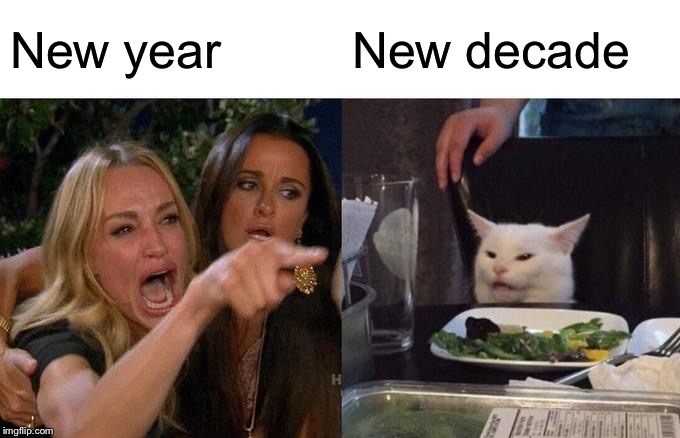 Woman Yelling At Cat | New year; New decade | image tagged in memes,woman yelling at cat | made w/ Imgflip meme maker