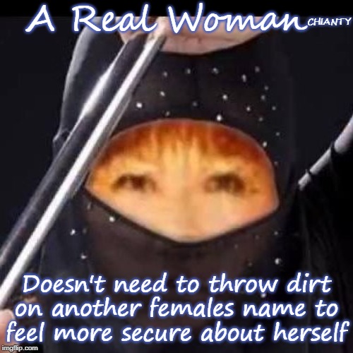 Woman | A Real Woman; CHIANTY; Doesn't need to throw dirt on another females name to feel more secure about herself | image tagged in female | made w/ Imgflip meme maker