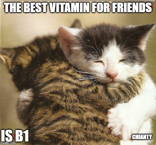 Vitamin | THE BEST VITAMIN FOR FRIENDS; IS B1; CHIANTY | image tagged in love and friendship | made w/ Imgflip meme maker