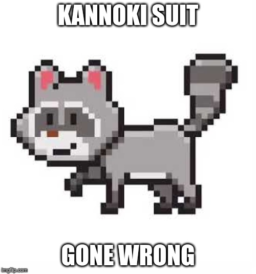 raccon | KANNOKI SUIT; GONE WRONG | image tagged in raccon | made w/ Imgflip meme maker