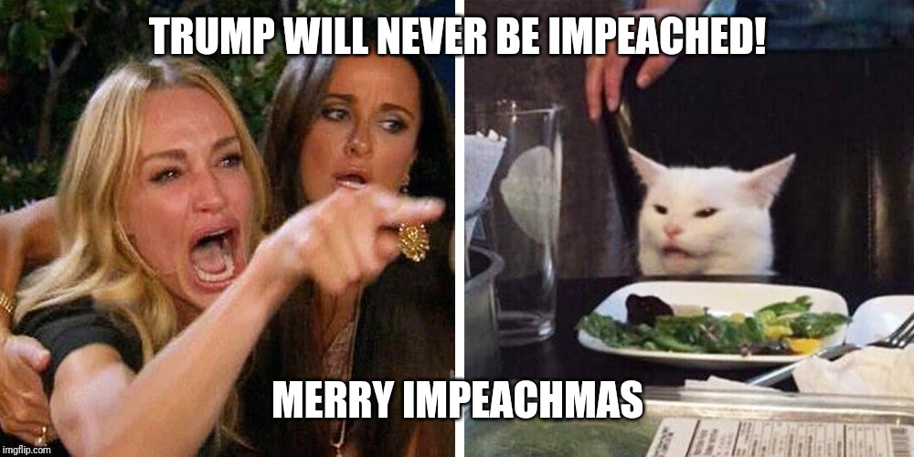 Smudge the cat | TRUMP WILL NEVER BE IMPEACHED! MERRY IMPEACHMAS | image tagged in smudge the cat | made w/ Imgflip meme maker