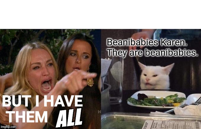 Woman Yelling At Cat Meme | Beanibabies Karen. They are beanibabies. BUT I HAVE
 THEM; ALL | image tagged in memes,woman yelling at cat | made w/ Imgflip meme maker