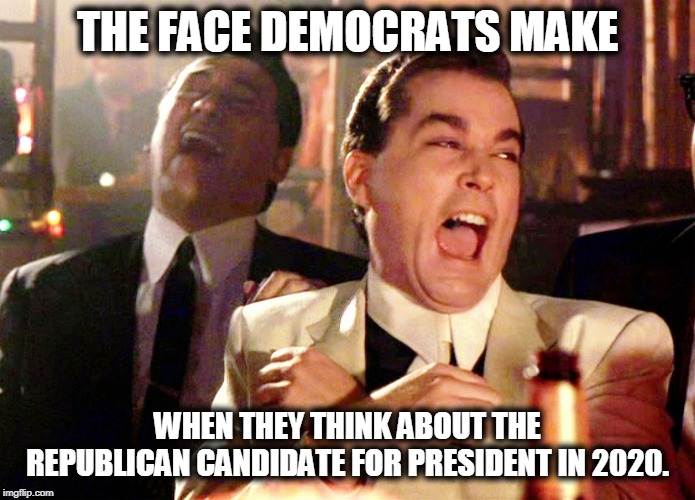 Good Fellas Hilarious Meme | THE FACE DEMOCRATS MAKE WHEN THEY THINK ABOUT THE REPUBLICAN CANDIDATE FOR PRESIDENT IN 2020. | image tagged in memes,good fellas hilarious | made w/ Imgflip meme maker