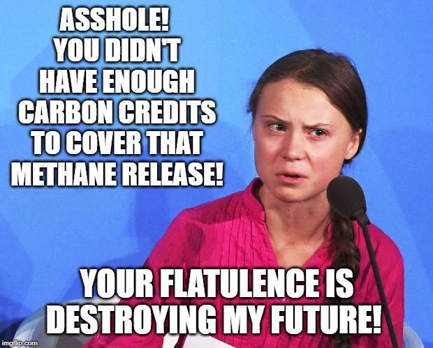 AngGreta Thunberg | ASSHOLE!  YOU DIDN'T HAVE ENOUGH CARBON CREDITS TO COVER THAT METHANE RELEASE! YOUR FLATULENCE IS DESTROYING MY FUTURE! | image tagged in anggreta thunberg | made w/ Imgflip meme maker