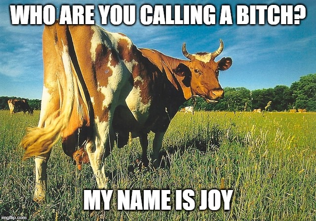 WHO ARE YOU CALLING A B**CH? MY NAME IS JOY | made w/ Imgflip meme maker