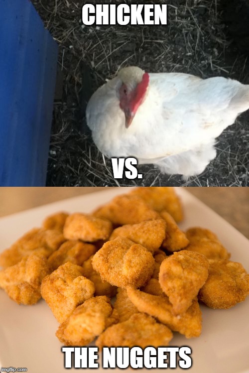 Chicken vs. The Nuggets | CHICKEN; VS. THE NUGGETS | image tagged in memes,angry chicken boss,chicken nuggets | made w/ Imgflip meme maker