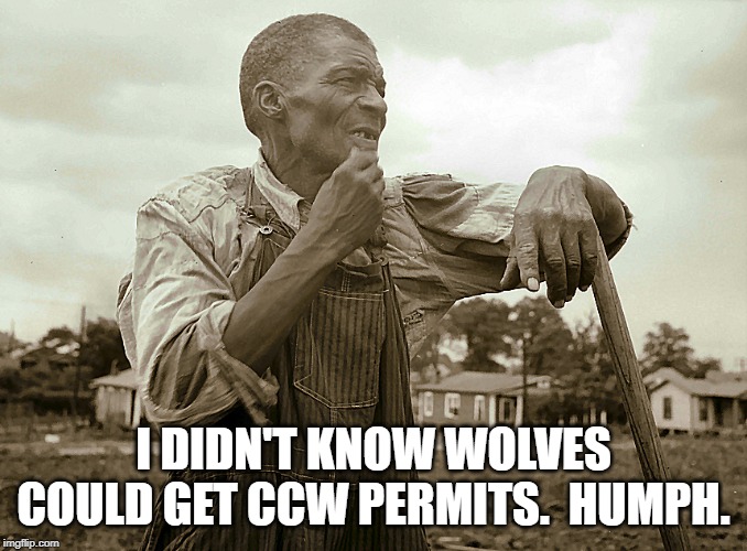 Pensive Colored Sharecropper | I DIDN'T KNOW WOLVES COULD GET CCW PERMITS.  HUMPH. | image tagged in pensive colored sharecropper | made w/ Imgflip meme maker