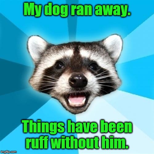 Lame Pun Coon Meme | My dog ran away. Things have been ruff without him. | image tagged in memes,lame pun coon | made w/ Imgflip meme maker