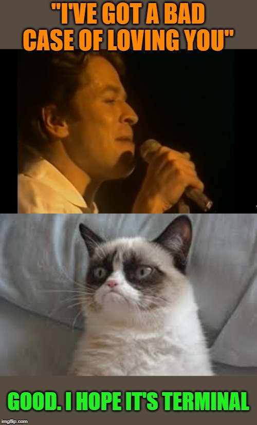 Grumpy Cat - Song Hater | "I'VE GOT A BAD CASE OF LOVING YOU"; GOOD. I HOPE IT'S TERMINAL | image tagged in grumpy cat,memes,cat meme,robert palmer,grumpy,cat | made w/ Imgflip meme maker