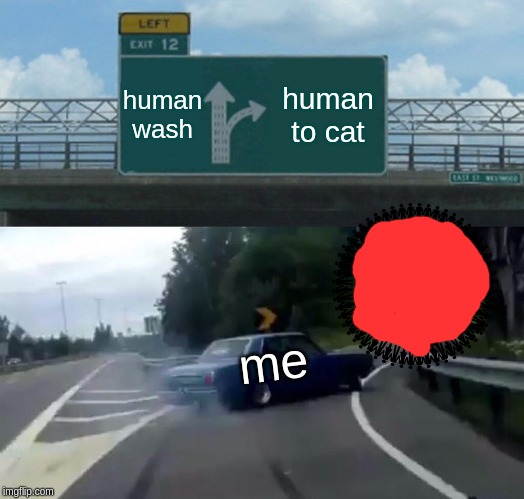 Left Exit 12 Off Ramp | human wash; human to cat; me | image tagged in memes,left exit 12 off ramp | made w/ Imgflip meme maker