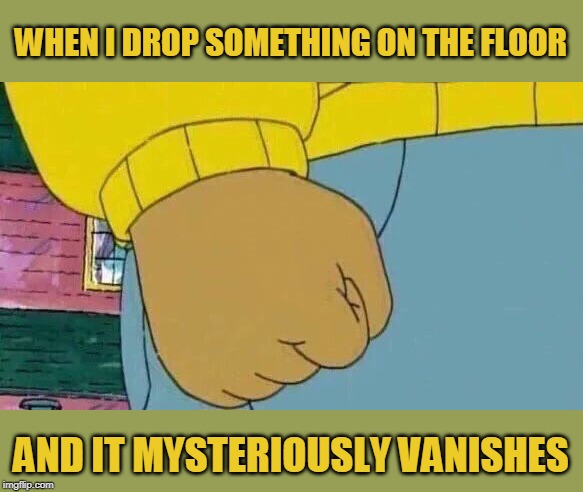Arthur Fist Meme | WHEN I DROP SOMETHING ON THE FLOOR; AND IT MYSTERIOUSLY VANISHES | image tagged in memes,arthur fist,drop | made w/ Imgflip meme maker
