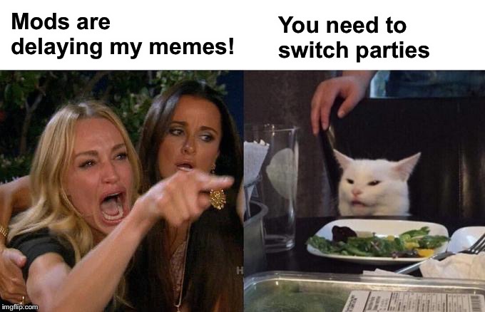 Woman Yelling At Cat Meme | Mods are delaying my memes! You need to switch parties | image tagged in memes,woman yelling at cat | made w/ Imgflip meme maker