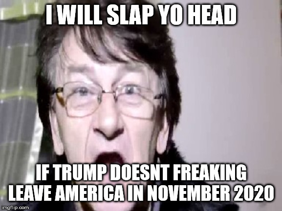 I WILL SLAP YO HEAD | I WILL SLAP YO HEAD; IF TRUMP DOESNT FREAKING LEAVE AMERICA IN NOVEMBER 2020 | image tagged in i will slap yo head | made w/ Imgflip meme maker