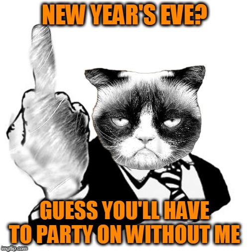 Happy New Year | NEW YEAR'S EVE? GUESS YOU'LL HAVE TO PARTY ON WITHOUT ME | image tagged in 1950's grumpy middle finger | made w/ Imgflip meme maker