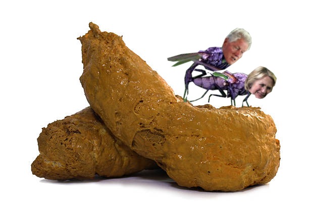 2 Flies Mating on a Turd | image tagged in bill and hillary clinton,bill and hillary,two turds,deadpool pick up lines,poop,ew i stepped in shit | made w/ Imgflip meme maker