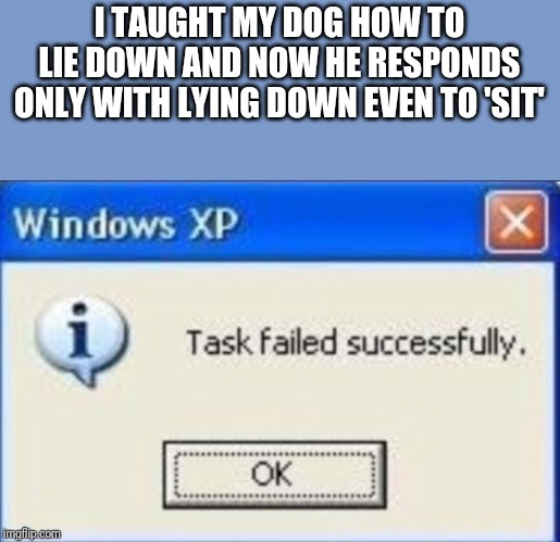 Task failed successfully | I TAUGHT MY DOG HOW TO LIE DOWN AND NOW HE RESPONDS ONLY WITH LYING DOWN EVEN TO 'SIT' | image tagged in task failed successfully | made w/ Imgflip meme maker