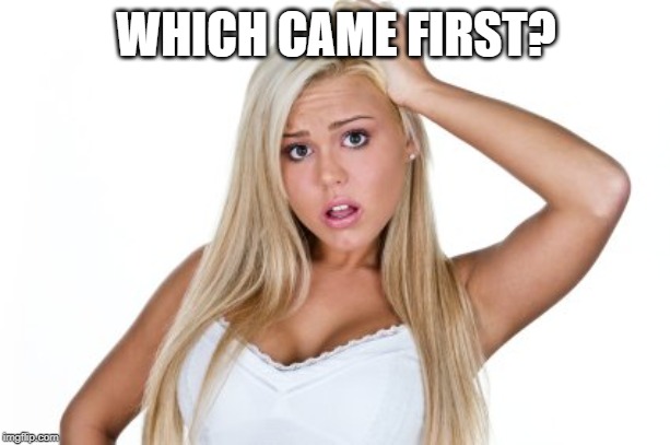 Dumb Blonde | WHICH CAME FIRST? | image tagged in dumb blonde | made w/ Imgflip meme maker