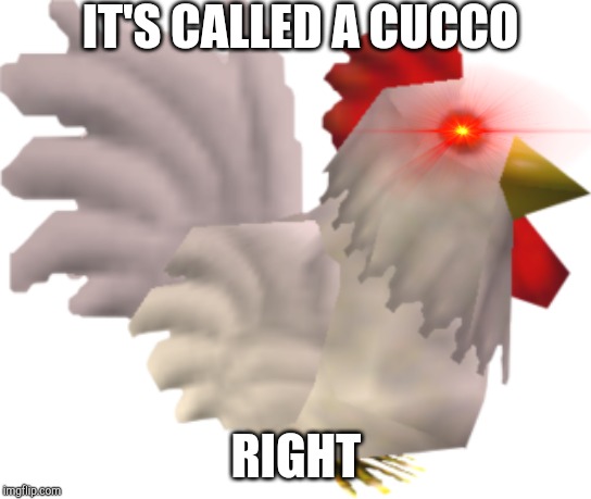 IT'S CALLED A CUCCO RIGHT | made w/ Imgflip meme maker