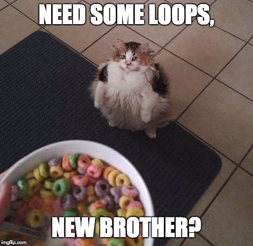 Loops Brother | NEED SOME LOOPS, NEW BROTHER? | image tagged in loops brother | made w/ Imgflip meme maker