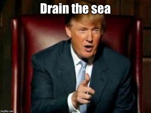 Donald Trump | Drain the sea | image tagged in donald trump | made w/ Imgflip meme maker