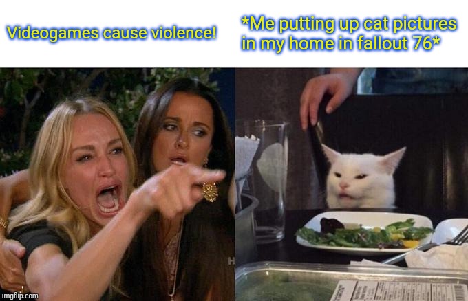 Using this over uesd template. | Videogames cause violence! *Me putting up cat pictures in my home in fallout 76* | image tagged in memes,woman yelling at cat,fallout 76,cat | made w/ Imgflip meme maker