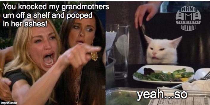 white cat table | You knocked my grandmothers 
urn off a shelf and pooped 
in her ashes! yeah...so | image tagged in white cat table | made w/ Imgflip meme maker