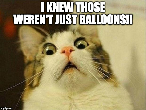 Scared Cat | I KNEW THOSE WEREN'T JUST BALLOONS!! | image tagged in memes,scared cat | made w/ Imgflip meme maker