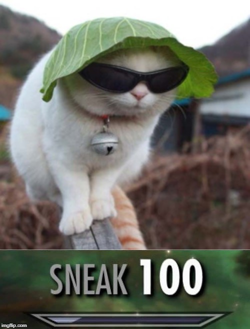 image tagged in sneak 100,gamer cat | made w/ Imgflip meme maker