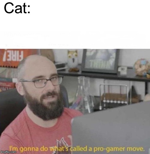 Pro Gamer move | Cat: | image tagged in pro gamer move | made w/ Imgflip meme maker