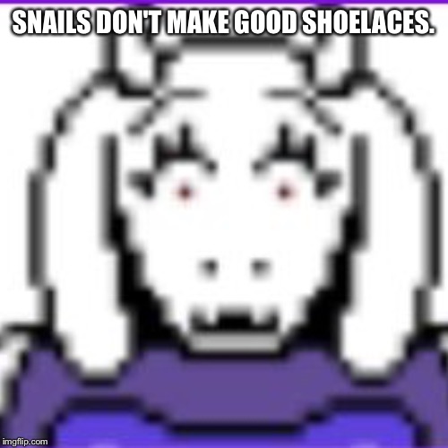 SNAILS DON'T MAKE GOOD SHOELACES. | made w/ Imgflip meme maker