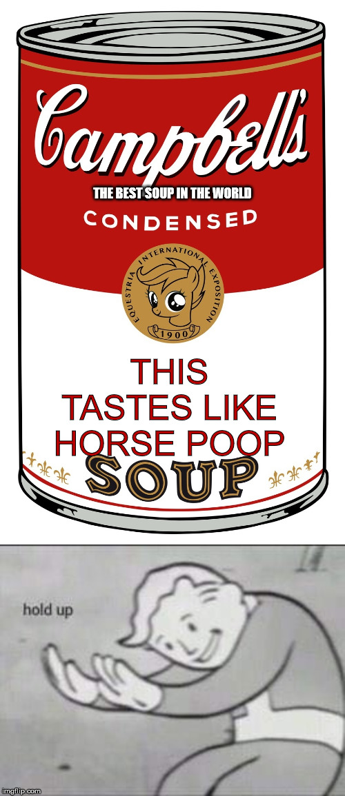 THE BEST SOUP IN THE WORLD; THIS TASTES LIKE HORSE POOP | image tagged in imgflip soup,fallout hold up | made w/ Imgflip meme maker