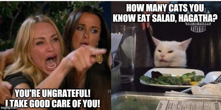 white cat table | HOW MANY CATS YOU KNOW EAT SALAD, HAGATHA? YOU'RE UNGRATEFUL! I TAKE GOOD CARE OF YOU! | image tagged in white cat table | made w/ Imgflip meme maker