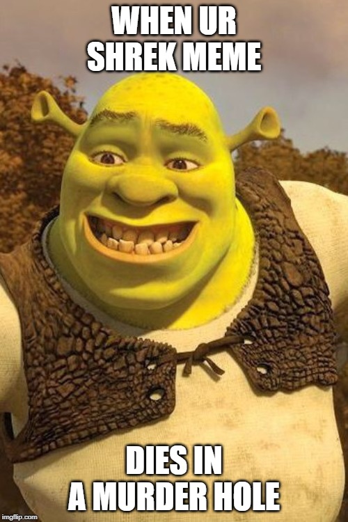 Smiling Shrek | WHEN UR SHREK MEME; DIES IN A MURDER HOLE | image tagged in smiling shrek | made w/ Imgflip meme maker