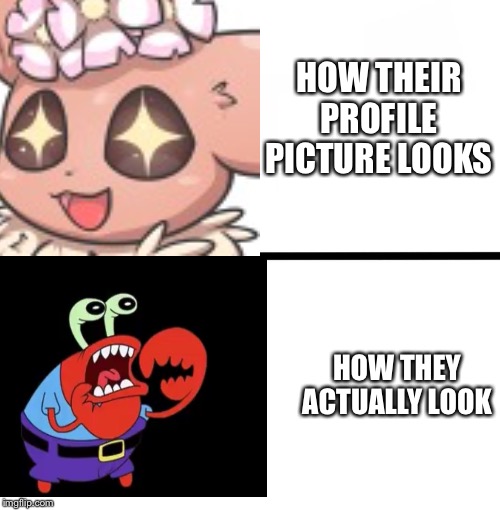 HOW THEIR PROFILE PICTURE LOOKS; HOW THEY ACTUALLY LOOK | image tagged in mr krabs,lies | made w/ Imgflip meme maker