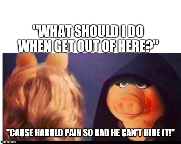 Dark Miss Piggy | "WHAT SHOULD I DO WHEN GET OUT OF HERE?" "CAUSE HAROLD PAIN SO BAD HE CAN'T HIDE IT!" | image tagged in dark miss piggy | made w/ Imgflip meme maker