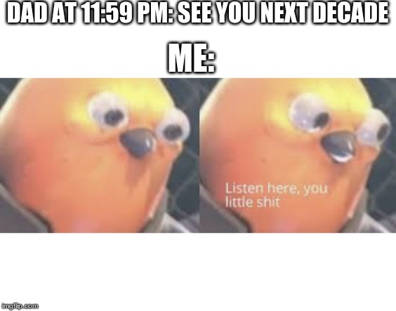 Listen here you little shit bird | DAD AT 11:59 PM: SEE YOU NEXT DECADE; ME: | image tagged in listen here you little shit bird | made w/ Imgflip meme maker
