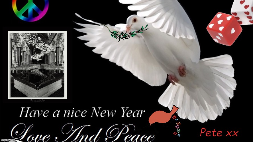 dove | Have a nice New Year; Pete xx | image tagged in dove | made w/ Imgflip meme maker