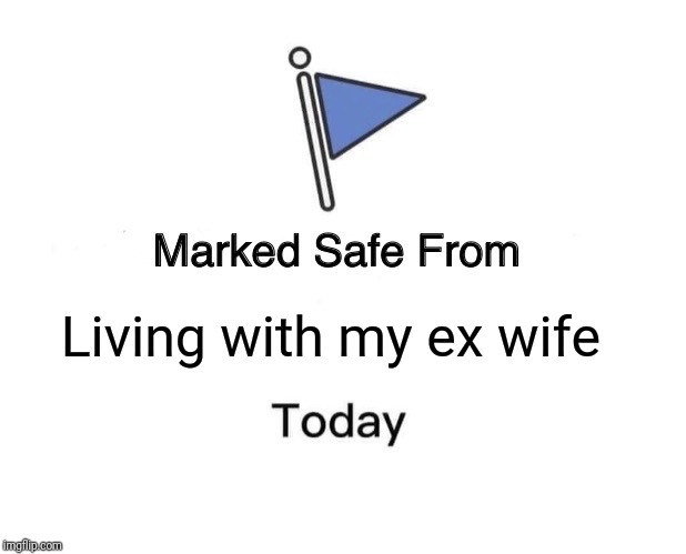 Marked Safe From | Living with my ex wife | image tagged in memes,marked safe from | made w/ Imgflip meme maker