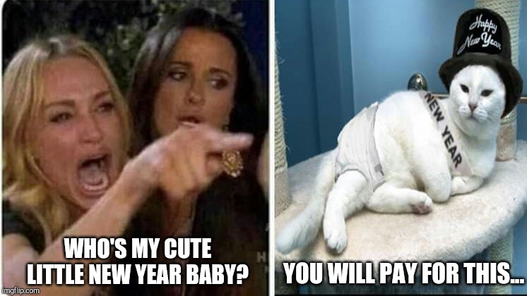 WHO'S MY CUTE LITTLE NEW YEAR BABY? YOU WILL PAY FOR THIS... | image tagged in woman yelling at cat | made w/ Imgflip meme maker