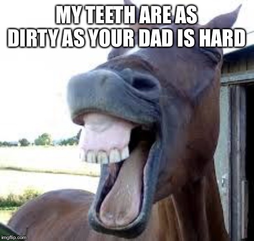 Horse | MY TEETH ARE AS DIRTY AS YOUR DAD IS HARD | image tagged in horse | made w/ Imgflip meme maker