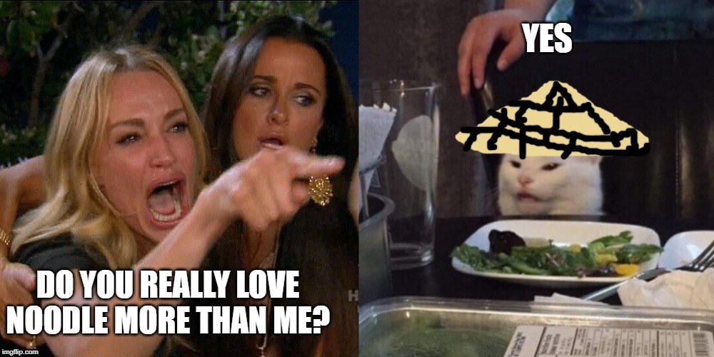 Woman yelling at cat | YES; DO YOU REALLY LOVE NOODLE MORE THAN ME? | image tagged in woman yelling at cat | made w/ Imgflip meme maker
