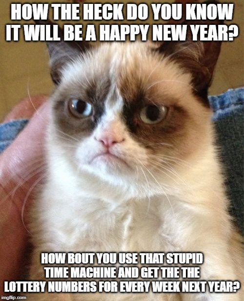 Grumpy Cat Meme | HOW THE HECK DO YOU KNOW IT WILL BE A HAPPY NEW YEAR? HOW BOUT YOU USE THAT STUPID TIME MACHINE AND GET THE THE LOTTERY NUMBERS FOR EVERY WEEK NEXT YEAR? | image tagged in memes,grumpy cat | made w/ Imgflip meme maker