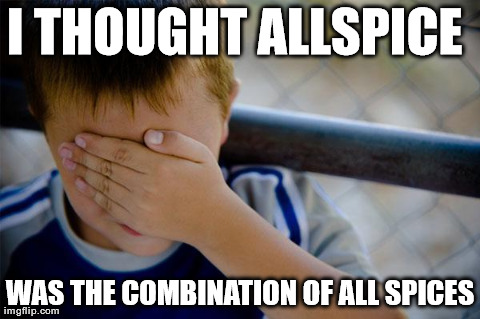 Confession Kid Meme | I THOUGHT ALLSPICE  WAS THE COMBINATION OF ALL SPICES | image tagged in memes,confession kid,AdviceAnimals | made w/ Imgflip meme maker