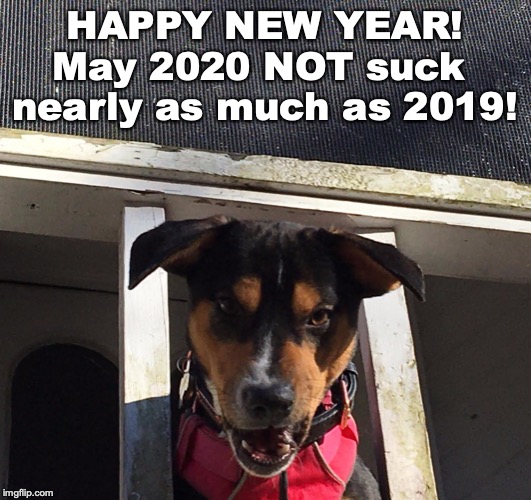 Happy New Year Dog Memes 2020 | Viral Memes