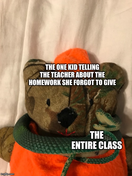 Snake choking teddy | THE ONE KID TELLING THE TEACHER ABOUT THE HOMEWORK SHE FORGOT TO GIVE; THE ENTIRE CLASS | image tagged in funny | made w/ Imgflip meme maker