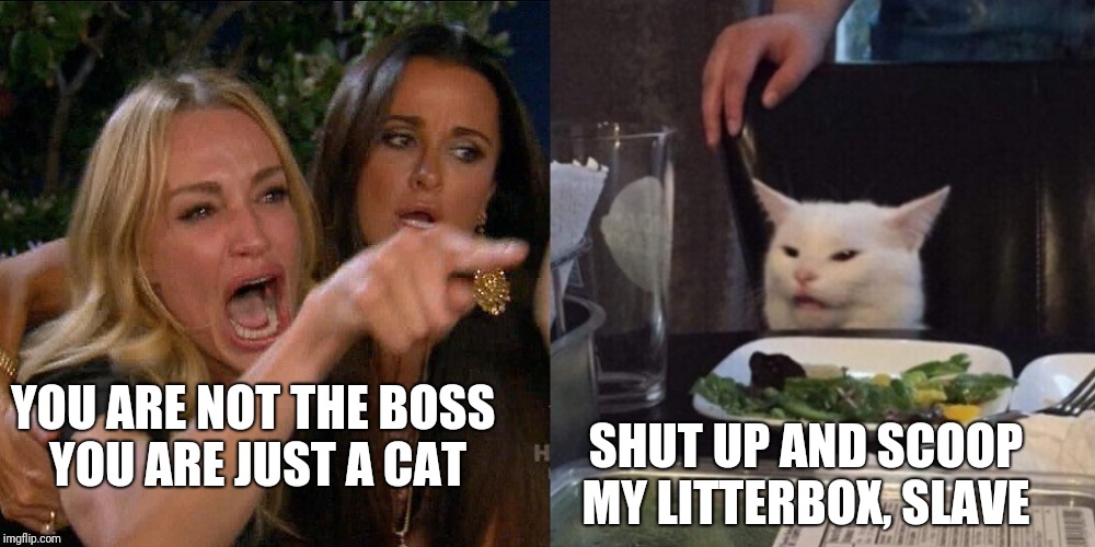 Woman yelling at cat | YOU ARE NOT THE BOSS 
YOU ARE JUST A CAT; SHUT UP AND SCOOP MY LITTERBOX, SLAVE | image tagged in woman yelling at cat | made w/ Imgflip meme maker