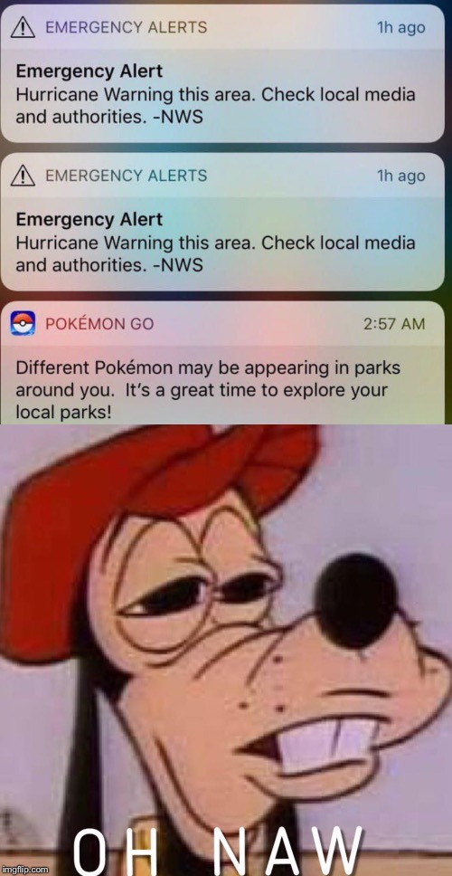 Emergency alert | image tagged in oh naw,funny,memes,pokemon go,hurricane,emergency | made w/ Imgflip meme maker