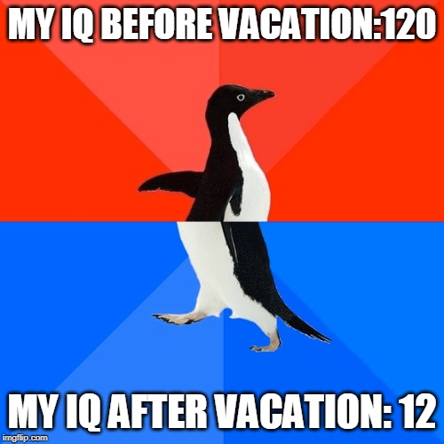 Socially Awesome Awkward Penguin Meme | MY IQ BEFORE VACATION:120; MY IQ AFTER VACATION: 12 | image tagged in memes,socially awesome awkward penguin | made w/ Imgflip meme maker