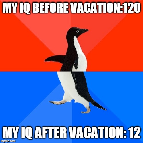 Socially Awesome Awkward Penguin | MY IQ BEFORE VACATION:120; MY IQ AFTER VACATION: 12 | image tagged in memes,socially awesome awkward penguin | made w/ Imgflip meme maker